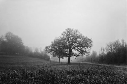 élégance du noir et blanc